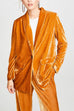 Priyavil Lapel Single-breasted Velvet Blazer Jacket